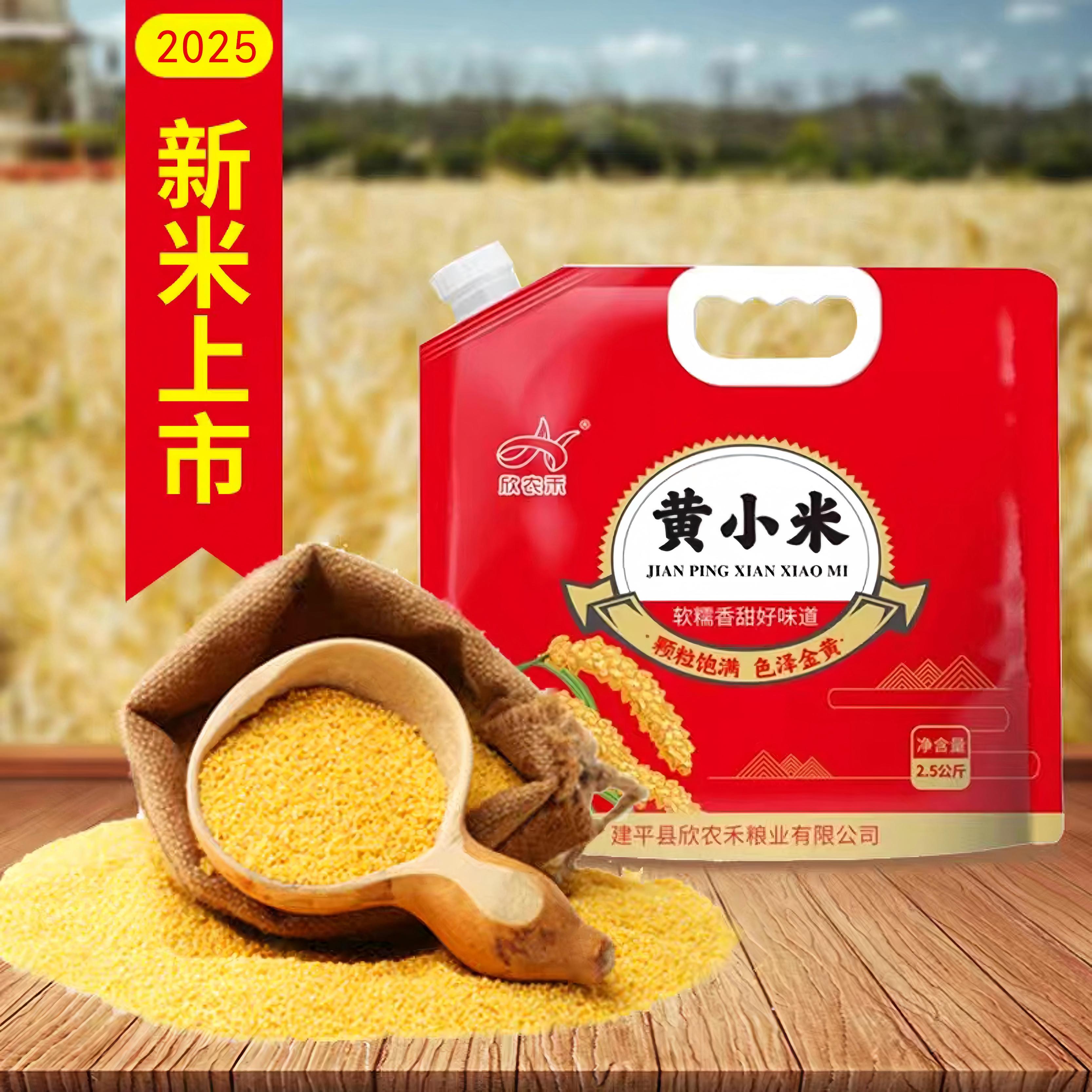 欣农禾2025年黄小米米脂5斤装天然五谷杂粮金苗K1新鲜软糯