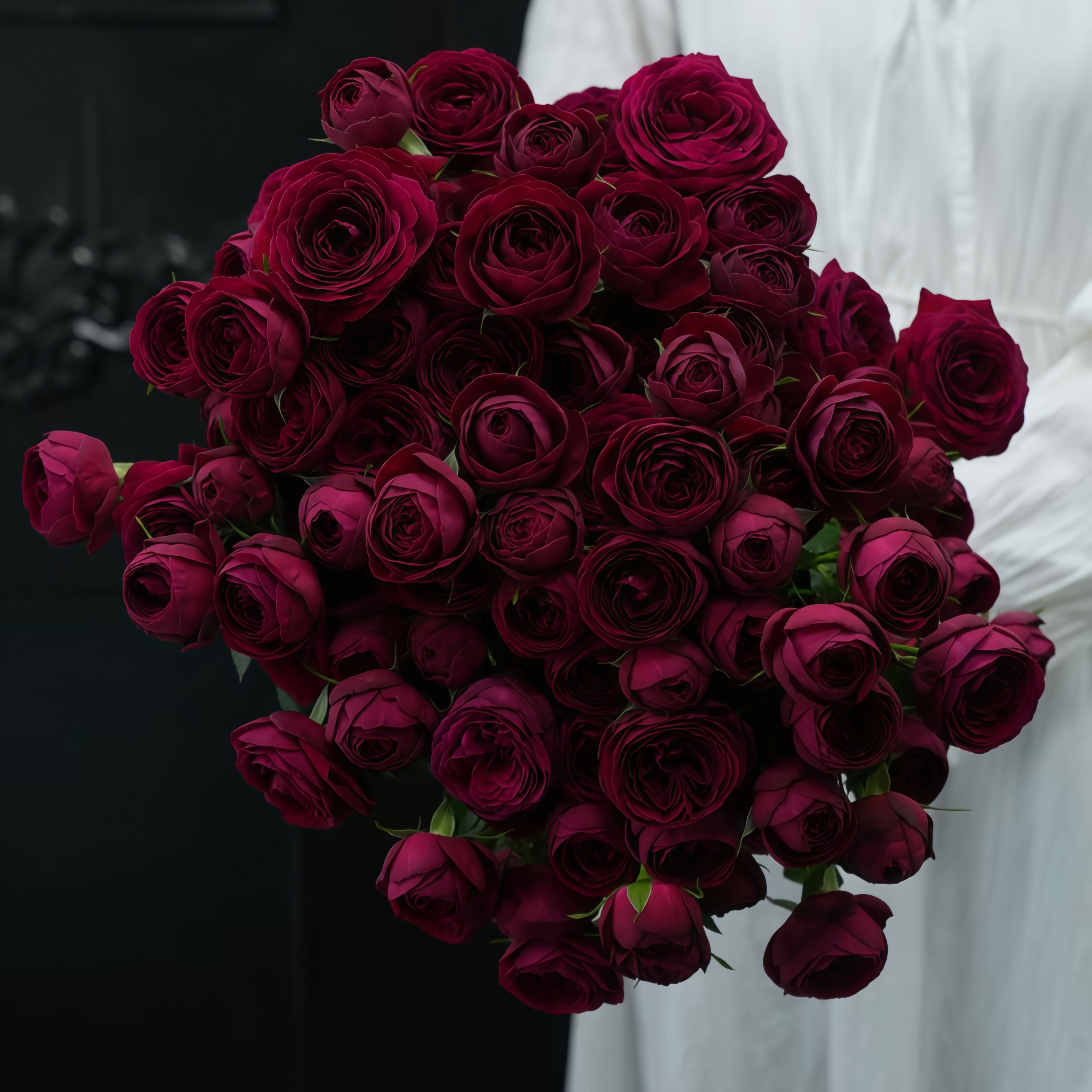 【今喜花舍】（AA级）红蕾丝  0°以下地区记得拍保温棉哦！！！