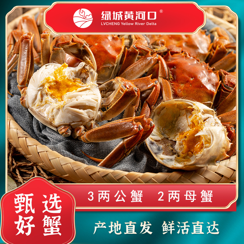 【活蟹】绿城黄河口大闸蟹3两公蟹2两母蟹8-10只装