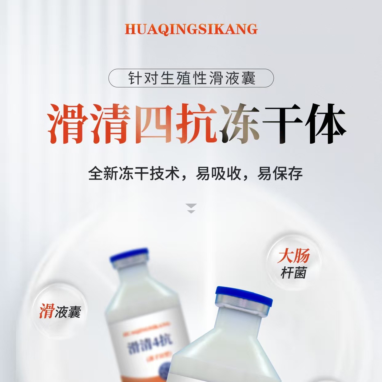 鸡生殖性滑液囊支原体防治一体冻干粉牲畜用品养鸡必备正品防冻