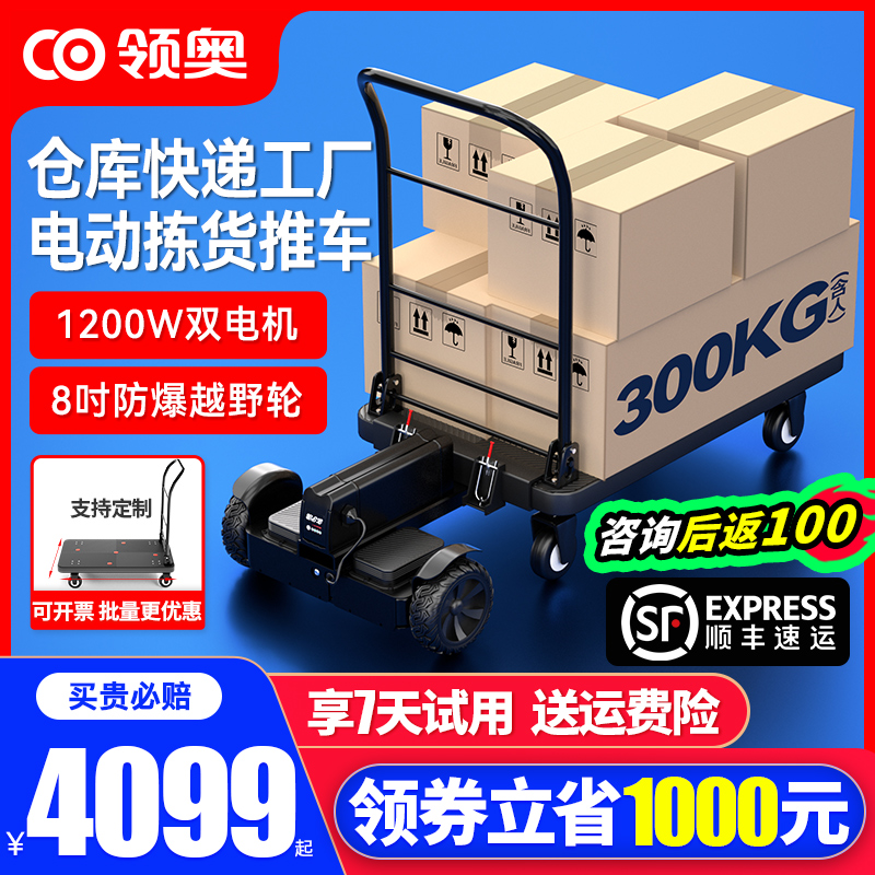 领奥电动快递代步小型手推车仓库载货平衡车搬运神器平板车工具车