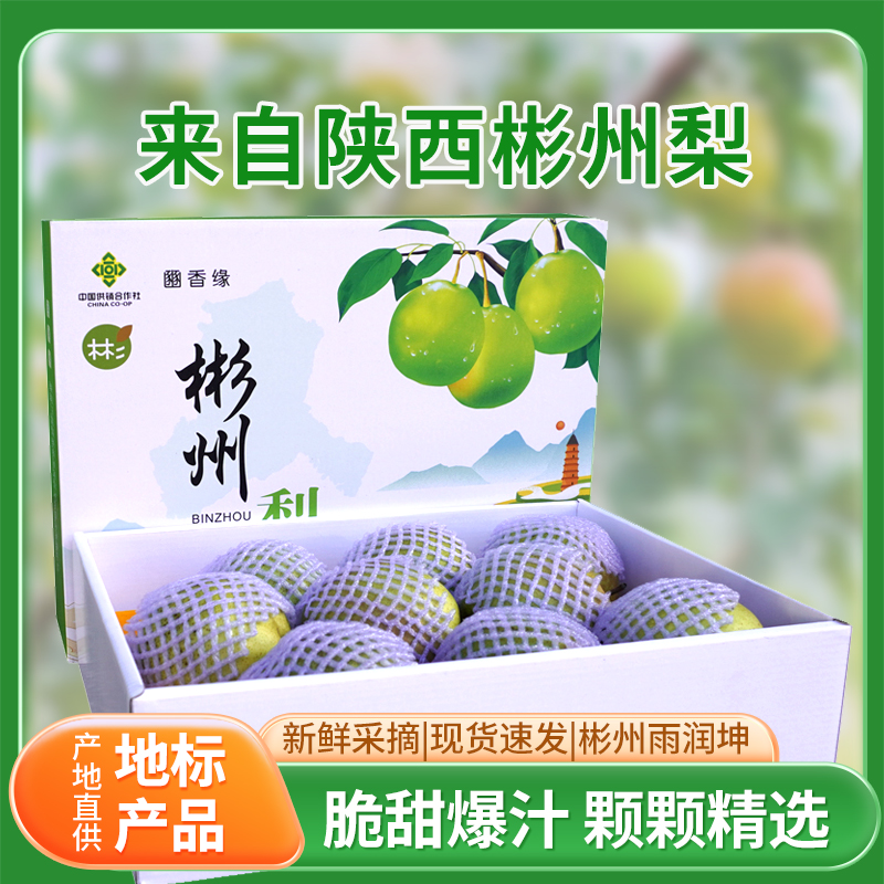 陕西彬州梨（朱家山村）玉露香梨脆甜多汁细腻化渣产地直发新鲜水果