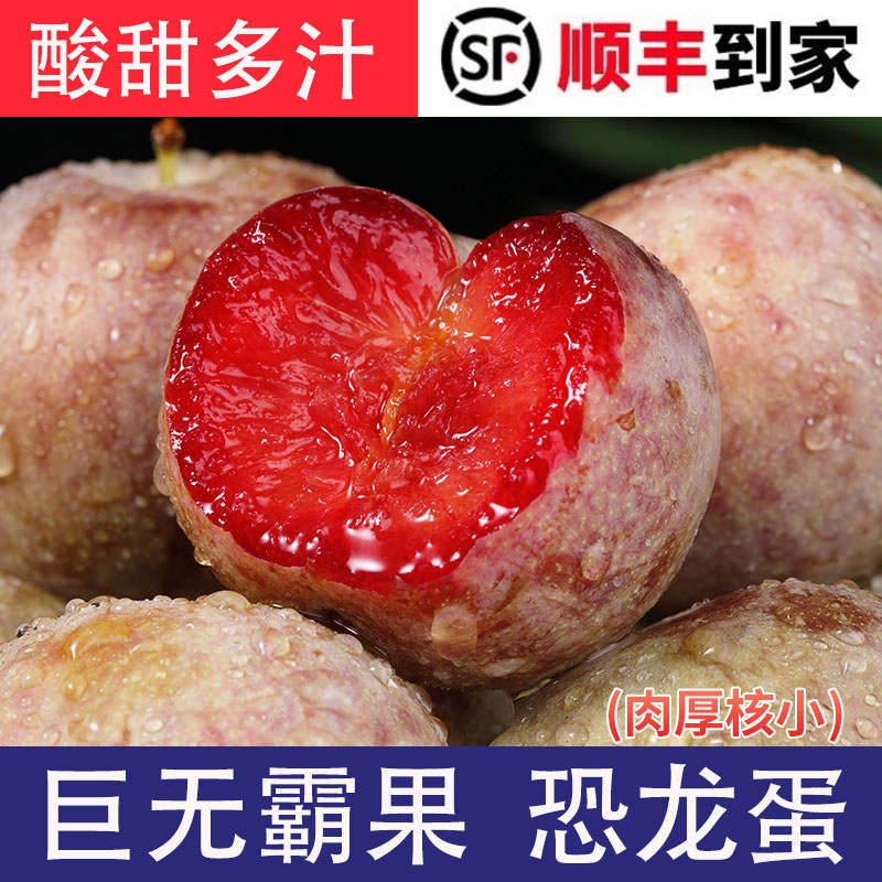 【顺丰包邮】新疆恐龙蛋当季新鲜水果杏李子酸甜多汁礼盒装TH