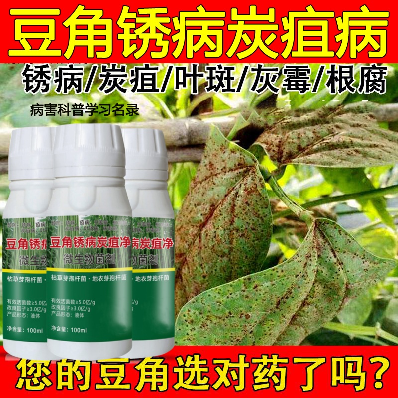 豆角病防治锈病炭疽净疫病根腐病枯萎病豆角黄叶锈病豆角锈病正品