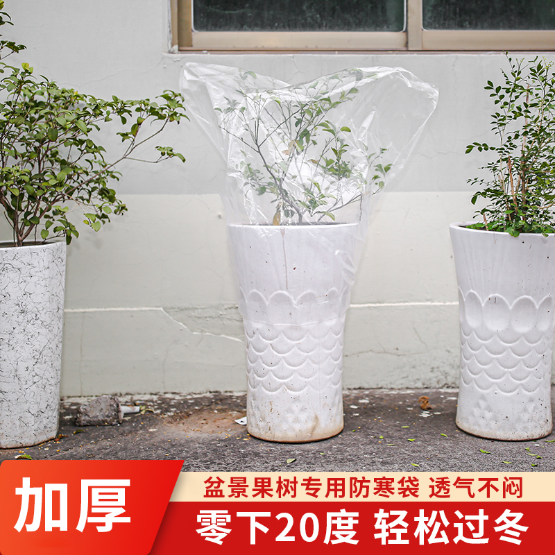 【防冻保温】绿植物袋塑料膜花卉盆栽过冬保护罩树木防寒透明防尘袋