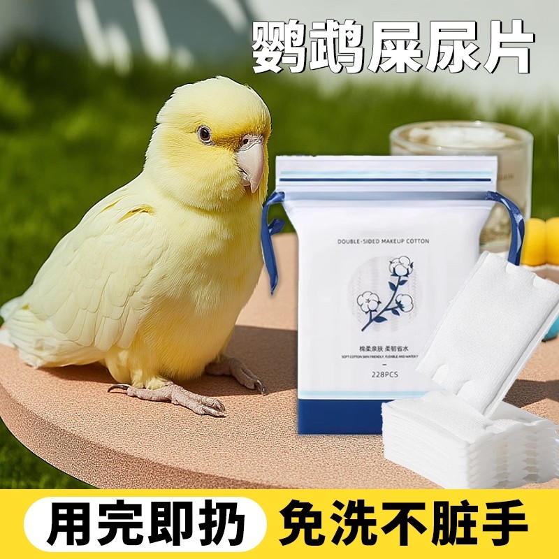 鹦鹉尿片尿不湿垫屎兜一次性隔尿布小鸟玄凤和尚虎皮牡丹用纸尿裤