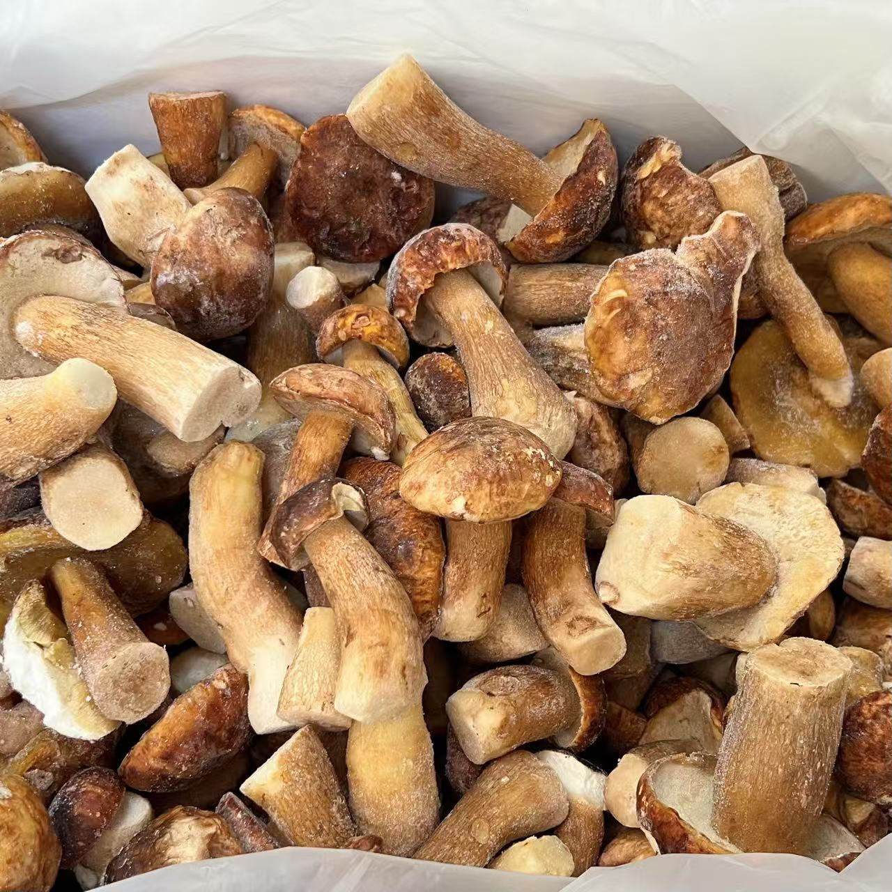 云南特产乡村蘑菇速冻美味牛肝菌农产品葛根汤菌子奶浆菌雨姐