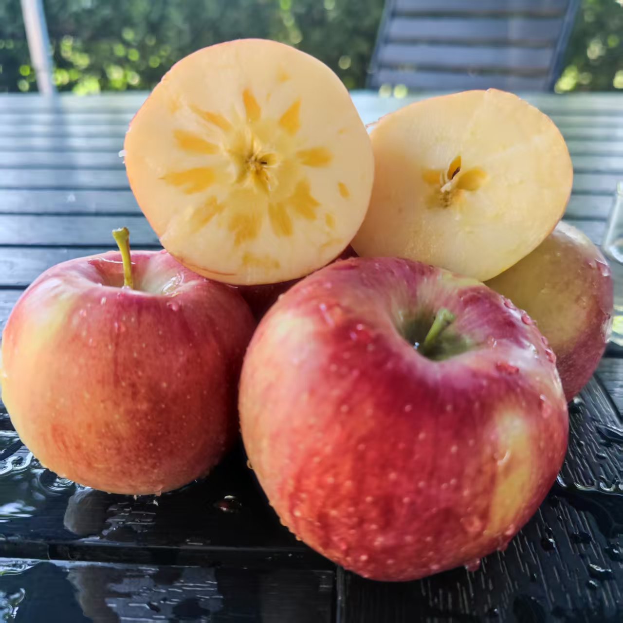 寺河山红露苹果脆甜多汁2025年新鲜采摘冰糖心纯甜无酸低热量水果