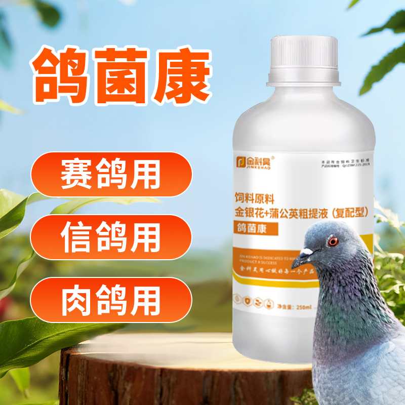 金科昊【鸽菌康】鸽子肉鸽赛鸽沙门氏养鸽鸽舍常备鸽甩拉吐拉绿便用