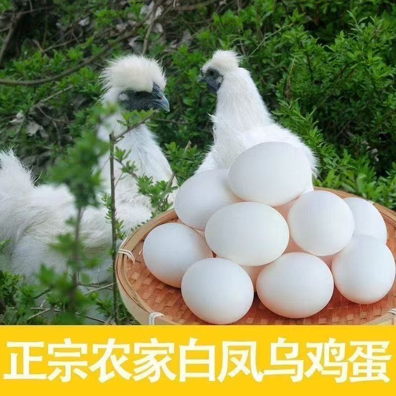【50枚】农家散养白凤乌鸡蛋园林散养谷物喂养新鲜现捡现发
