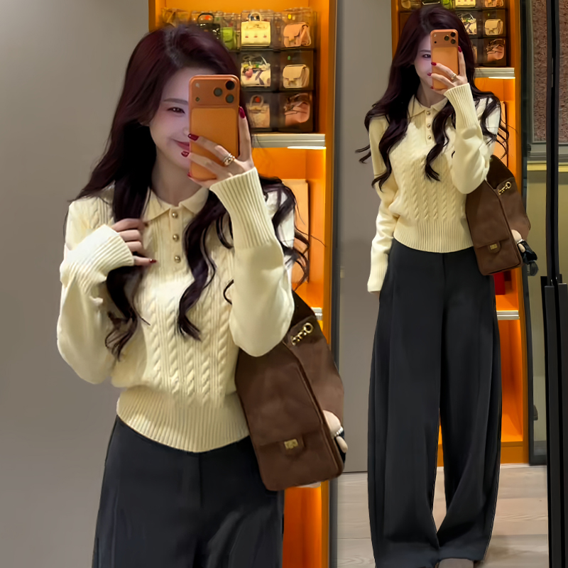 2025冬季新款学院风新款设计感麻花气质套头正肩毛衣女polo上衣