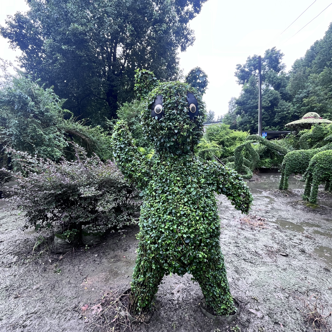 【小叶女贞】熊/快乐熊