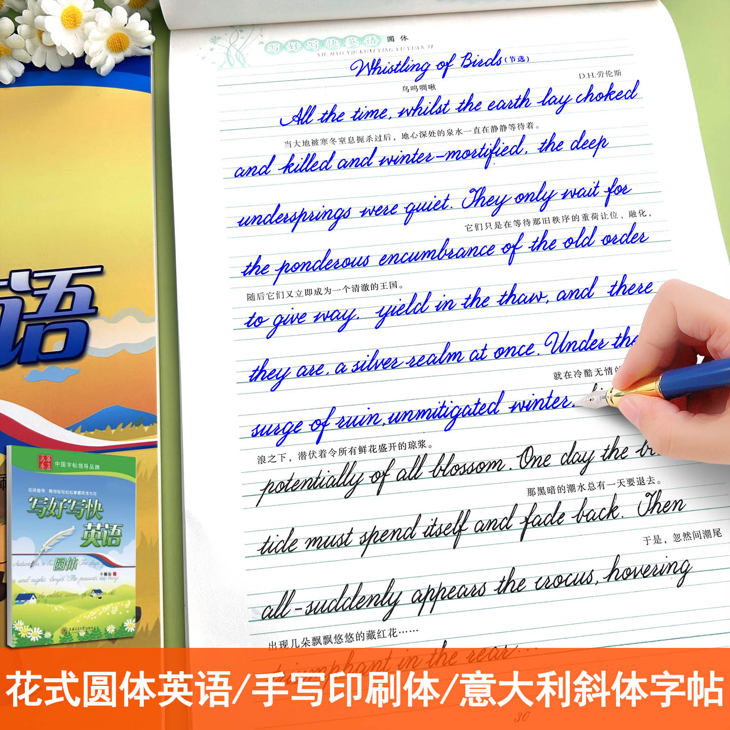 英文书法花体字帖女生学生成人漂亮手写钢笔硬笔临摹英文语录字帖