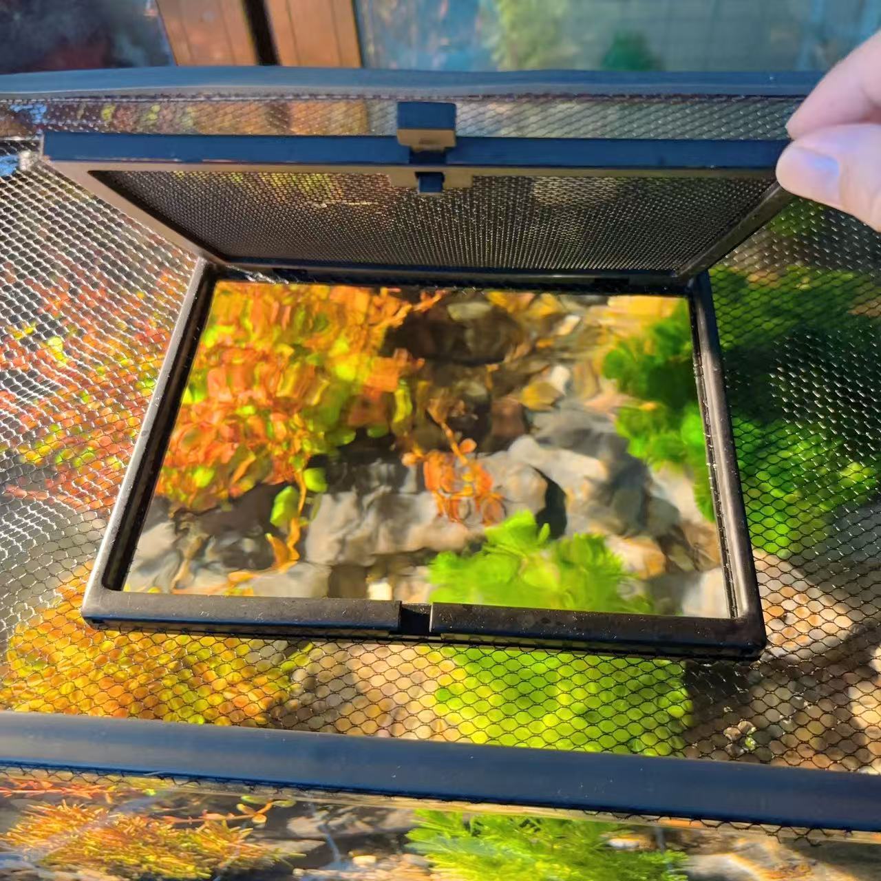 新型加装磁吸鱼缸防跳网投喂口防跳网专用加装投喂窗口鱼喂食口