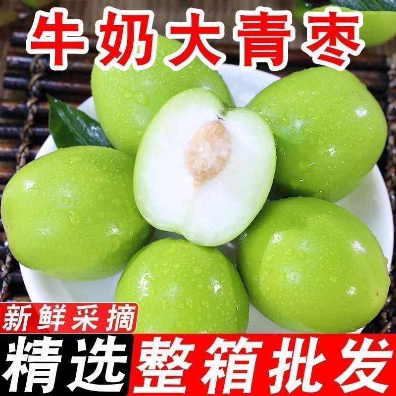 【产地直发】正宗云南牛奶大青枣脆甜特大号冬枣子新鲜水果批发价