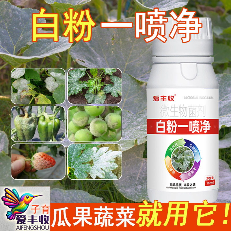 爱丰收白粉一喷净瓜果蔬菜黄瓜番茄果树草莓辣椒水果白粉一喷净