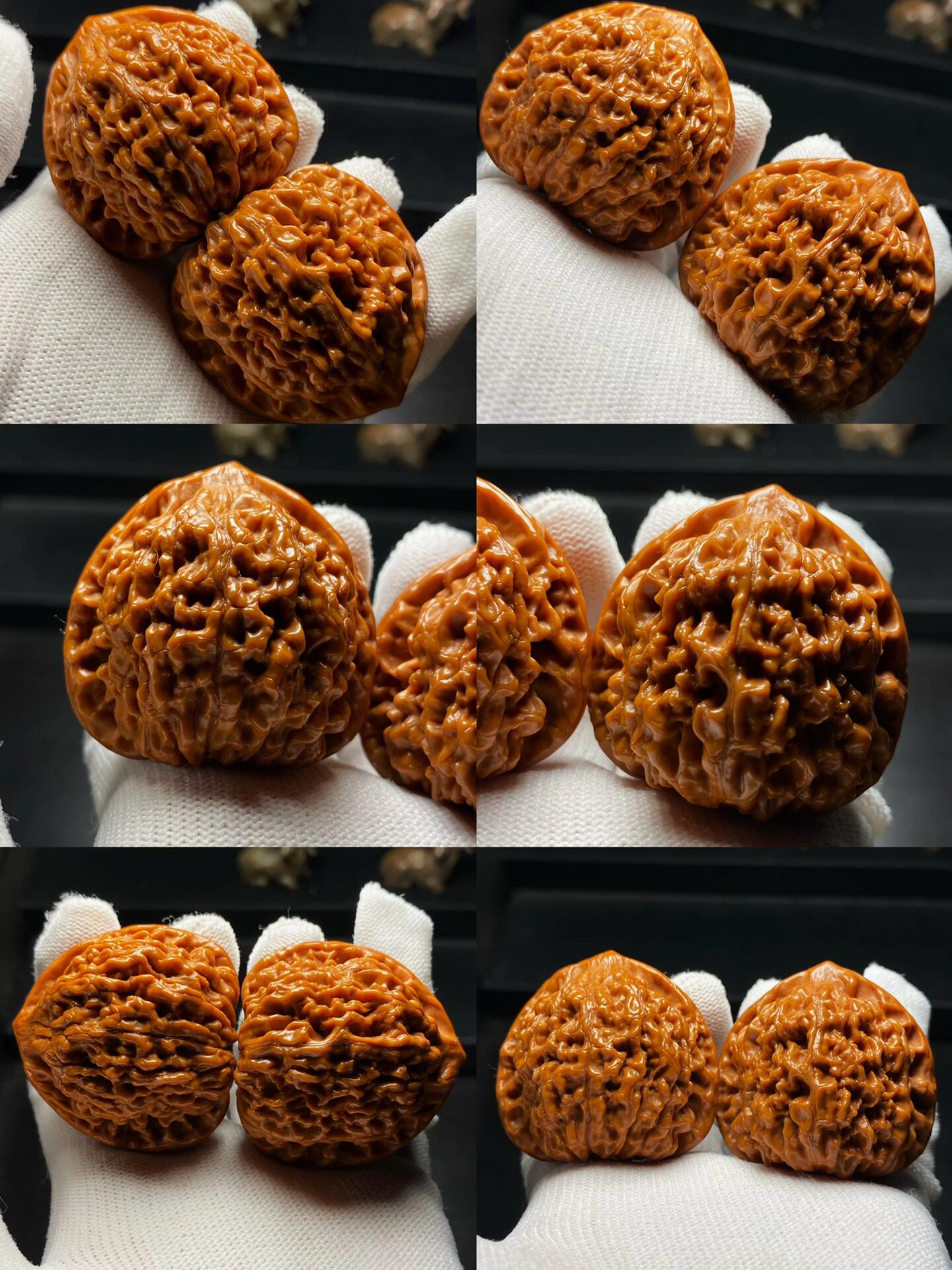 1号文玩核桃各个上等核桃品种