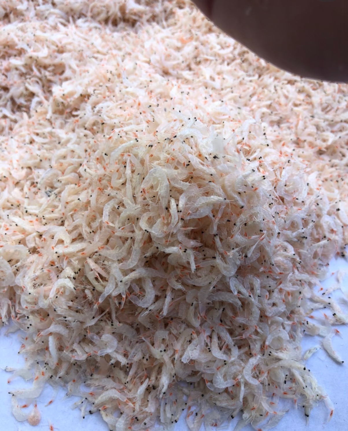 青岛本地淡干无盐虾皮500g