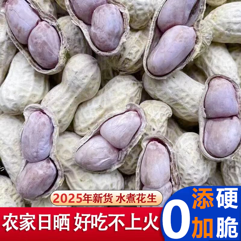 【真水煮】0添加新货龙岩特产农家水煮花生白晒咸干带壳太阳日晒