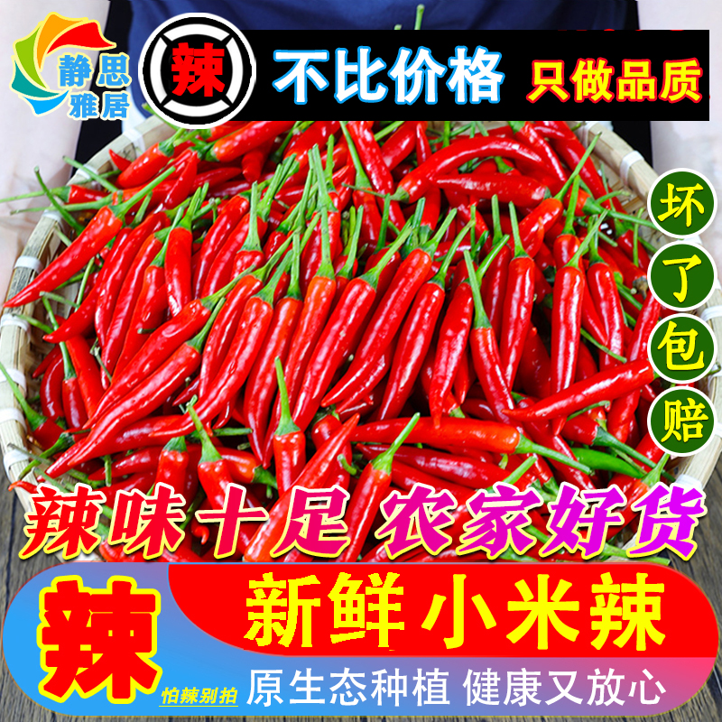 新鲜小米辣小米辣椒小米椒蔬菜魔鬼辣椒新鲜辣椒特辣巨辣红辣椒