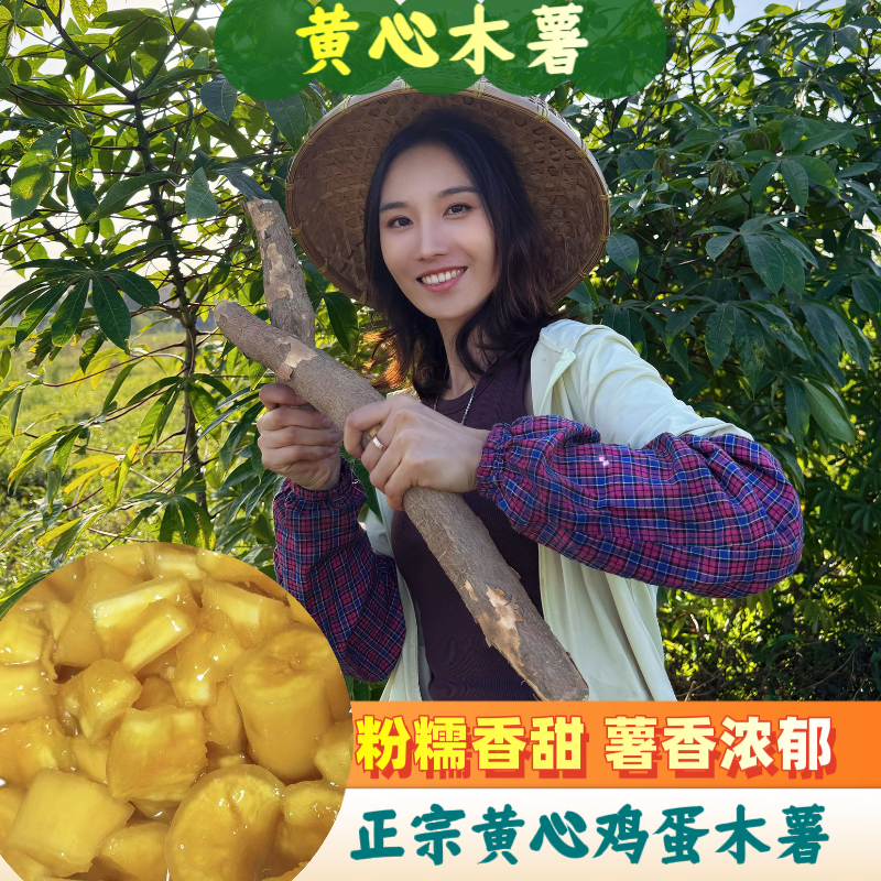 新鲜黄心木薯广西特产粉糯煮糖水必备
