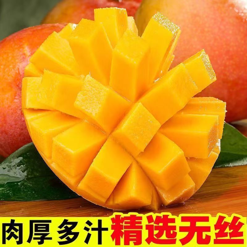 【爆甜现摘】云南苹果芒澳芒当季水果特大号凯特芒果彩虹芒