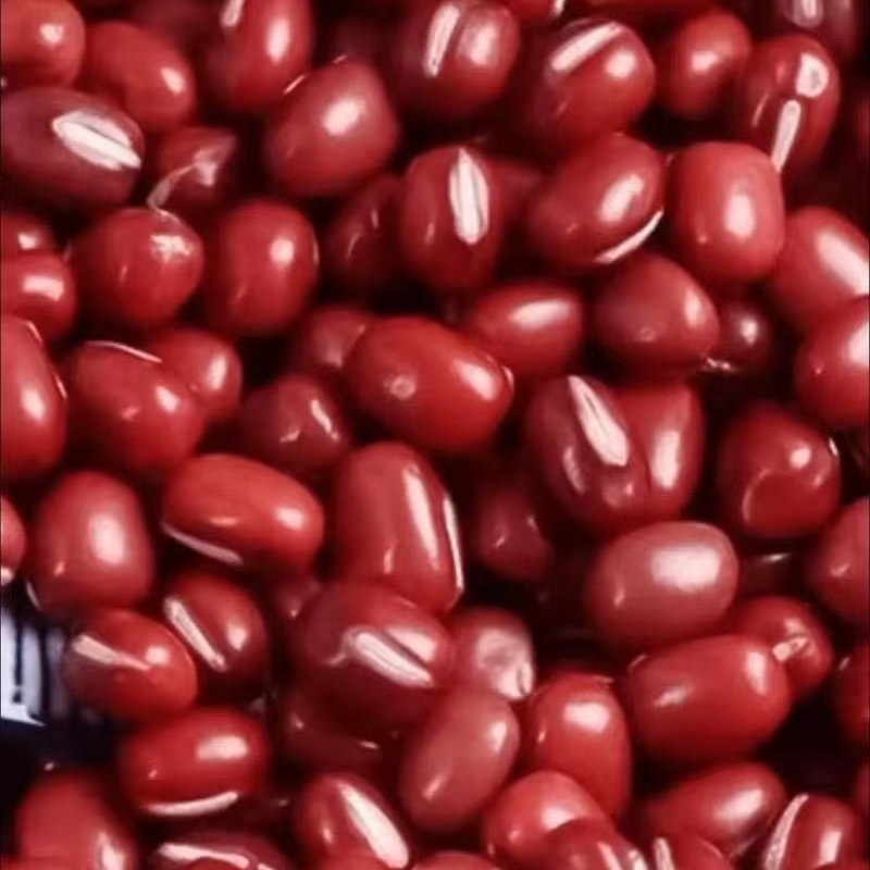 伏牛山新鲜红小豆颗粒饱满色泽红亮易出沙可煮粥煲汤红豆赤豆