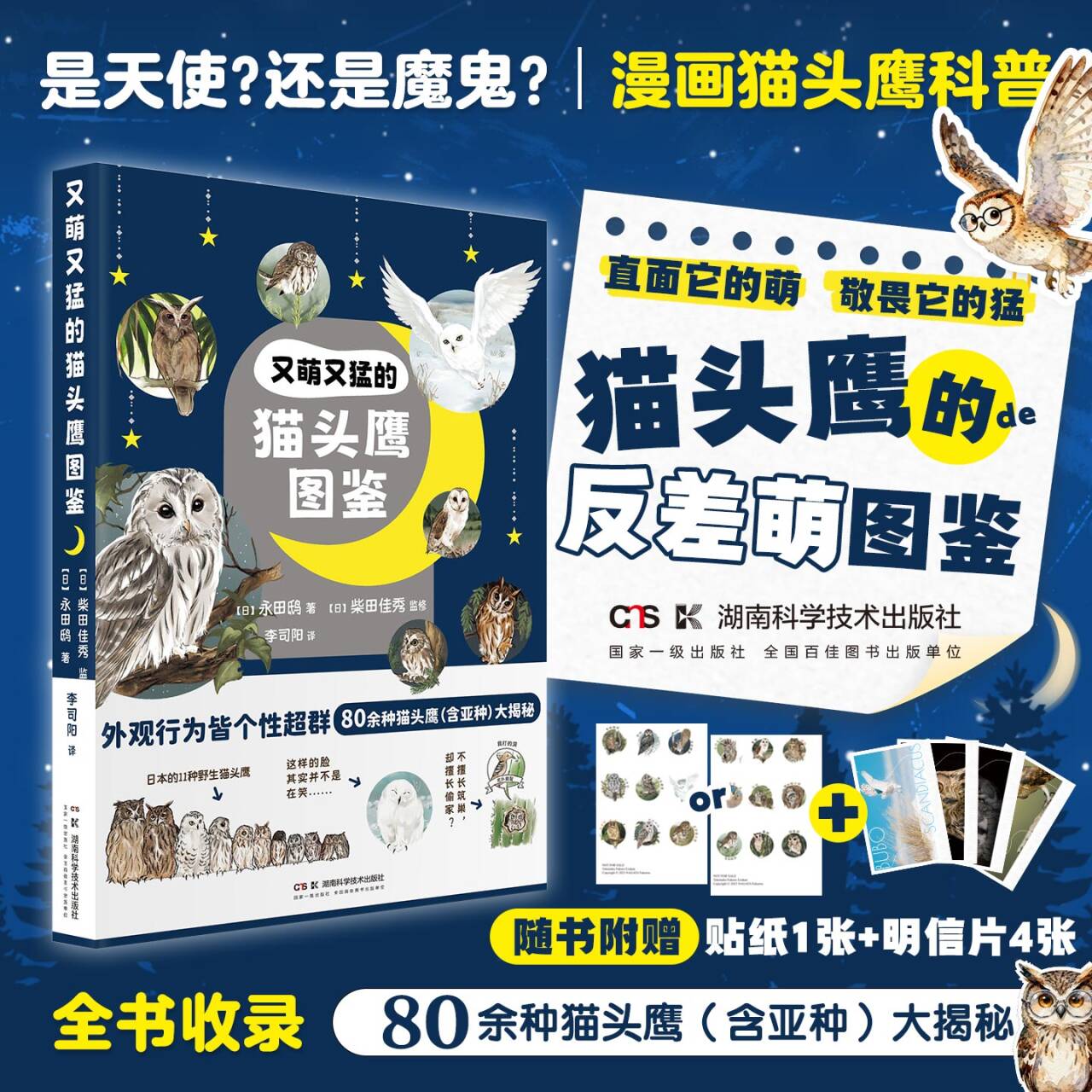 又萌又猛的猫头鹰图鉴  生物科普图书动物世界湖南科学技术出版社