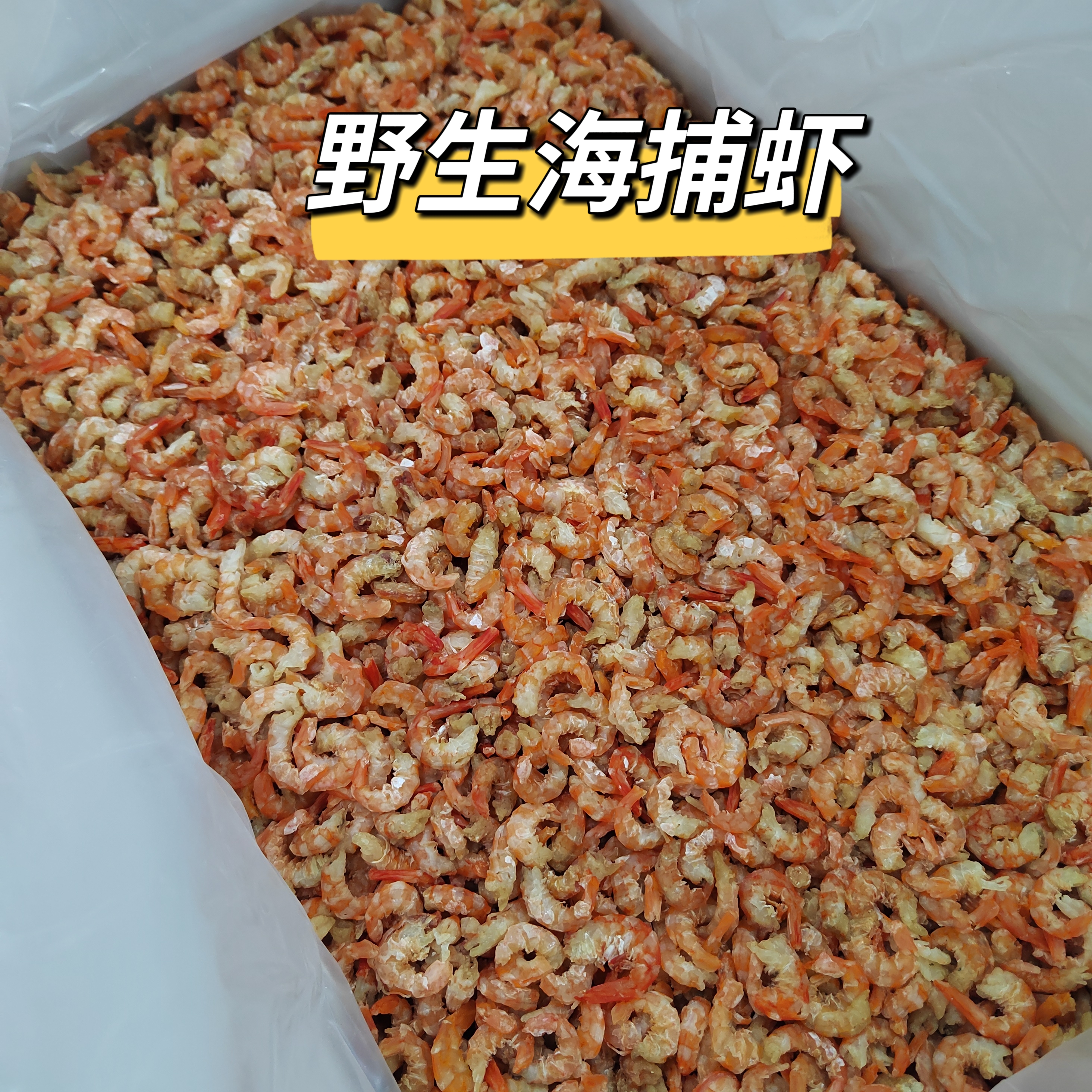 【明明海产干货】野生海米虾仁大号虾米干开海新货野海米250g/500g