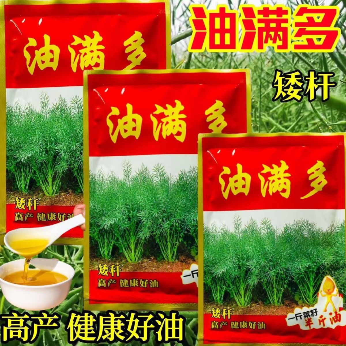 油满多油菜籽矮秆高产高出油油菜籽杂交油菜种子油霸油多多