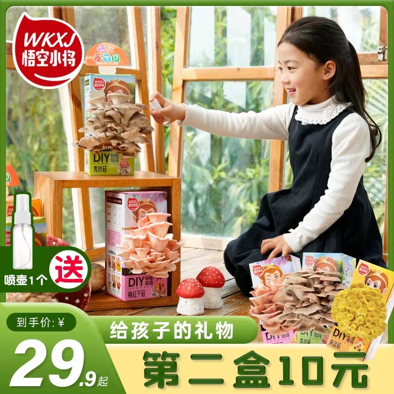 悟空小将【老少皆宜】DIY家庭种植蘑菇菌包蘑菇盒种植蘑菇种植菌包