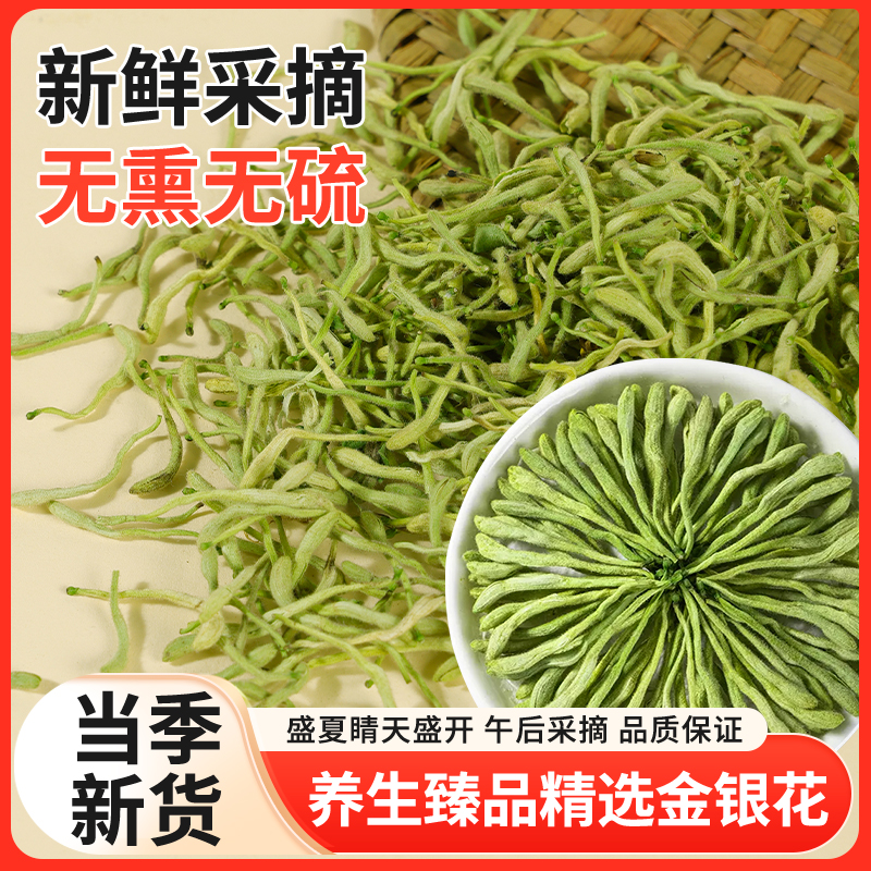 正宗巨鹿头茬金银花头茬大骨朵花苞有绒毛干净人工采摘