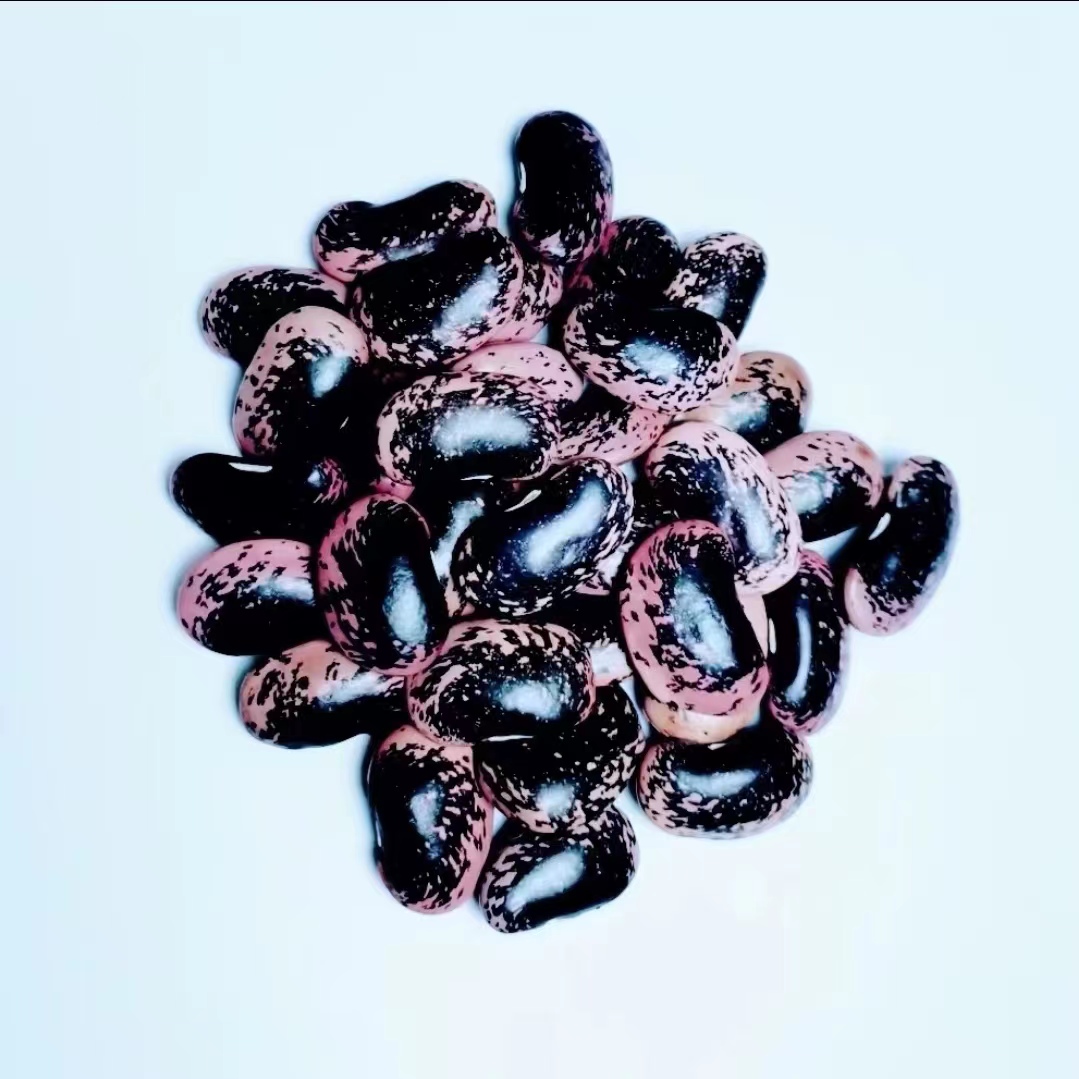 万源市高山精选含硒土产岩豆黑芸豆黑豆更香糯新鲜礼品粗粮