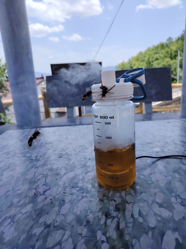 12V诱蜂雾化器(加湿器)诱地蜂树蜂专用不堵雾不漏喷雾加湿器大雾