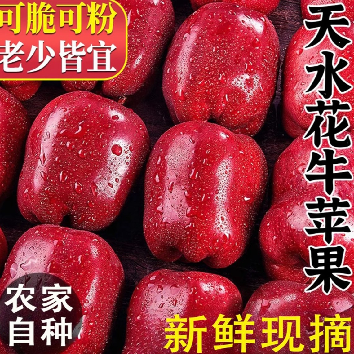 甘肃天水花牛苹果新鲜采摘脆粉两吃当季水果整箱包邮