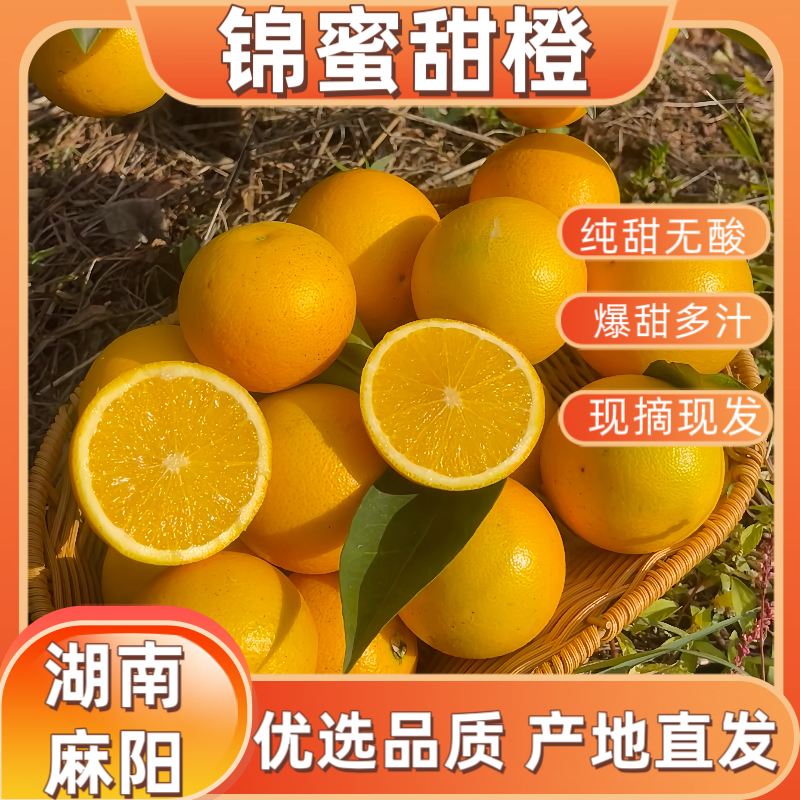 湖南怀化麻阳锦蜜甜橙冰糖橙产地直发清甜多汁手剥橙子爆甜多汁