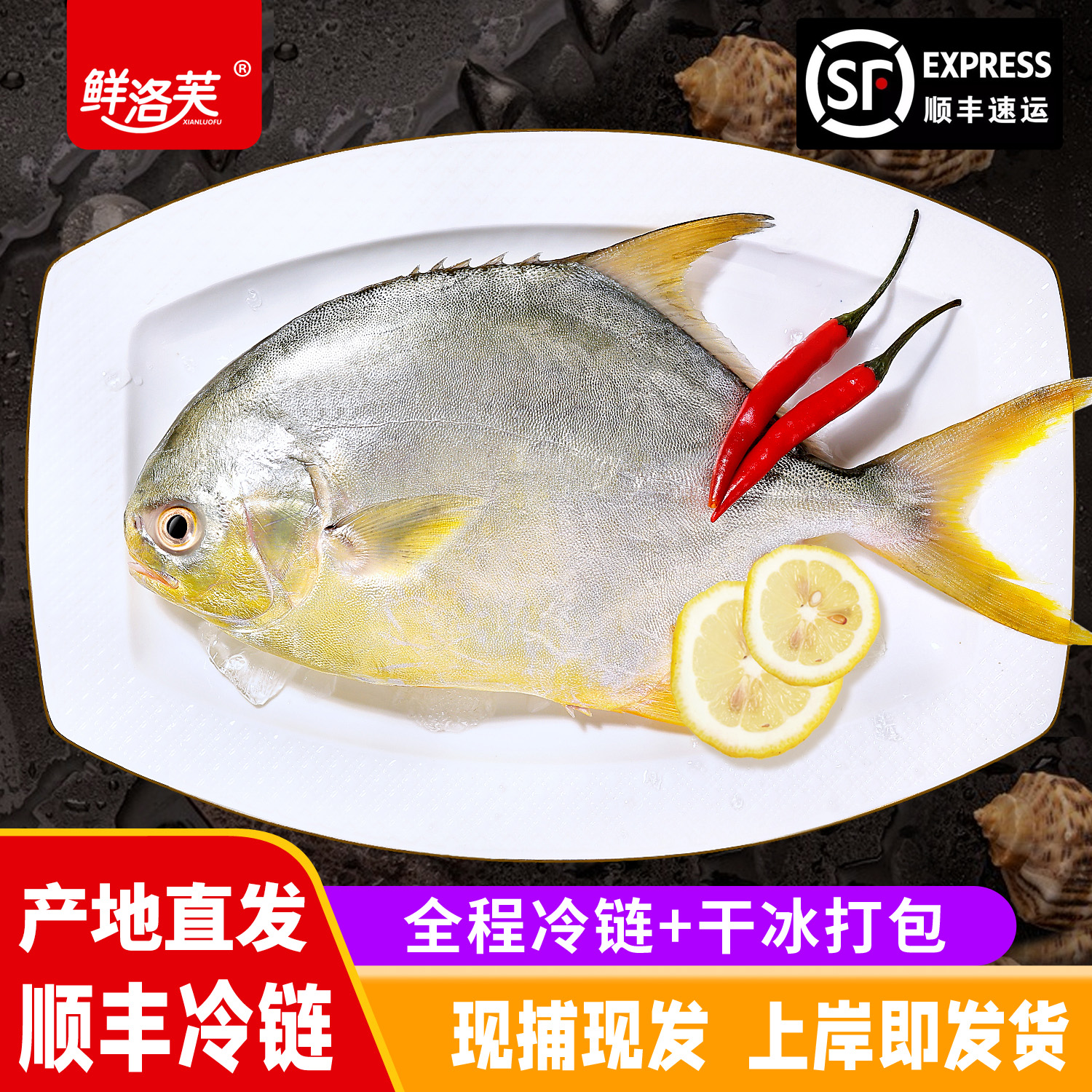 顺丰包邮广东阳江金鲳鱼 深海鲜活捕捞平鱼活鱼速冻冰鲜海鲜水产