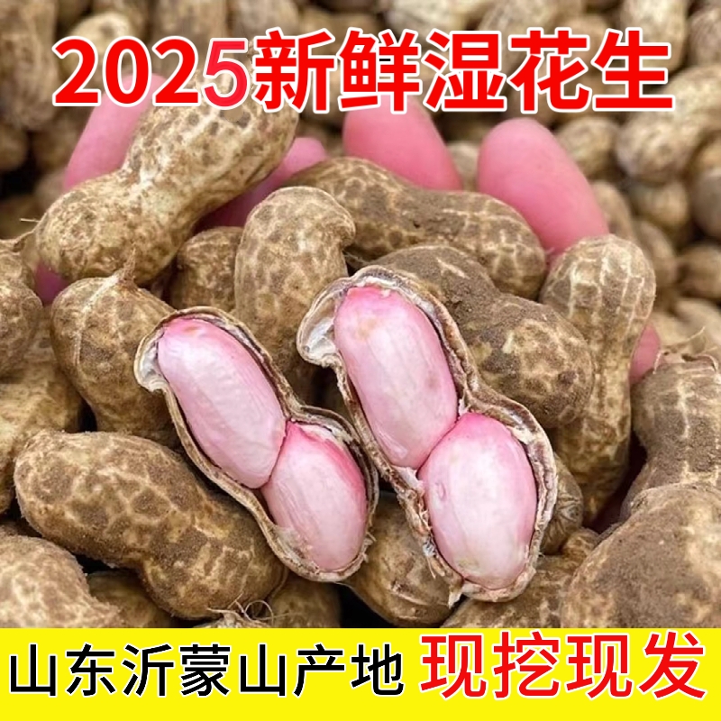 山东鲜花生沂蒙山产地新鲜湿花生带壳带泥当季现挖水煮花生