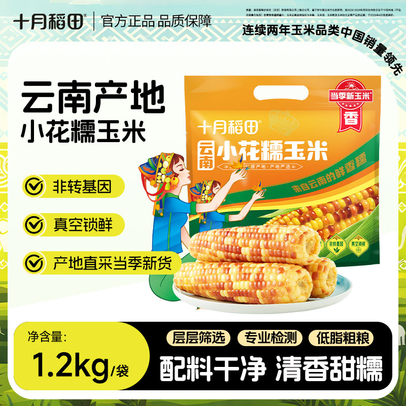 【西双版纳直采】十月稻田云南小花糯玉米1.2kg当季新玉米自然鲜嫩