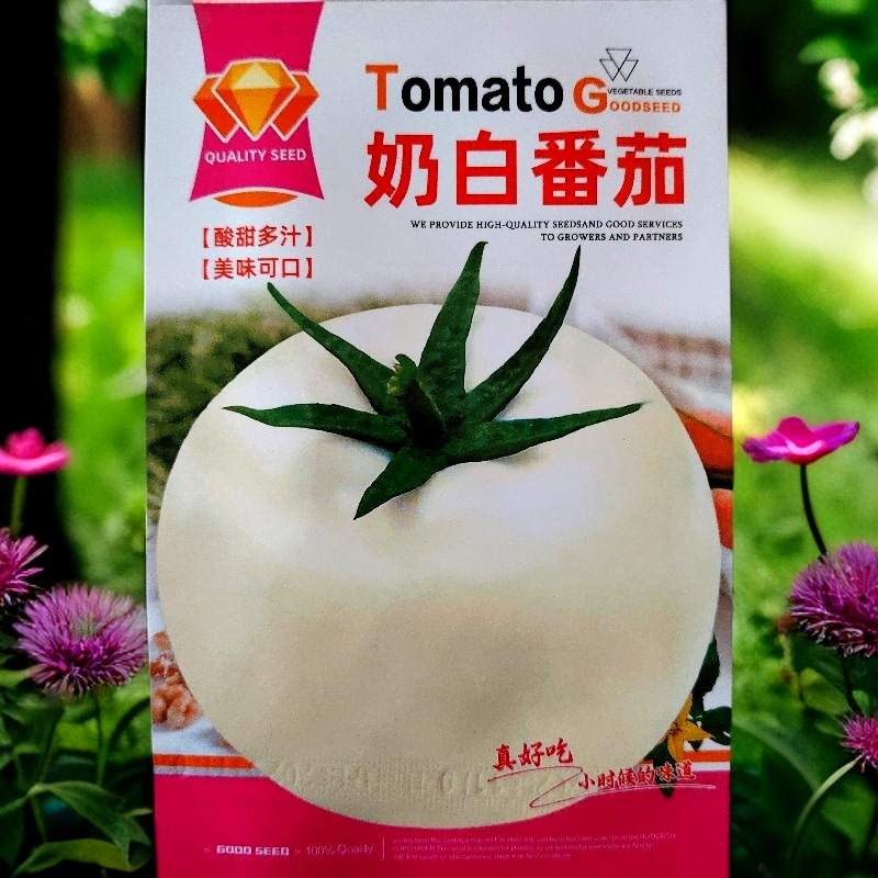 奶白柿子种子（酸甜可口好吃能结）