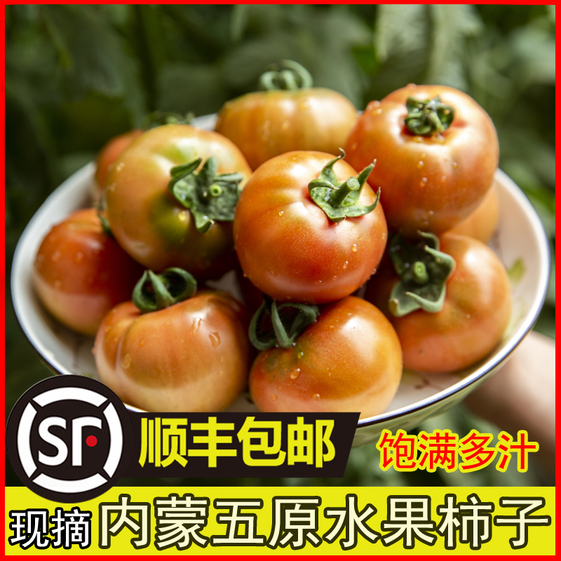 （顺丰包邮）内蒙古五原县水果西红柿新鲜现摘现发