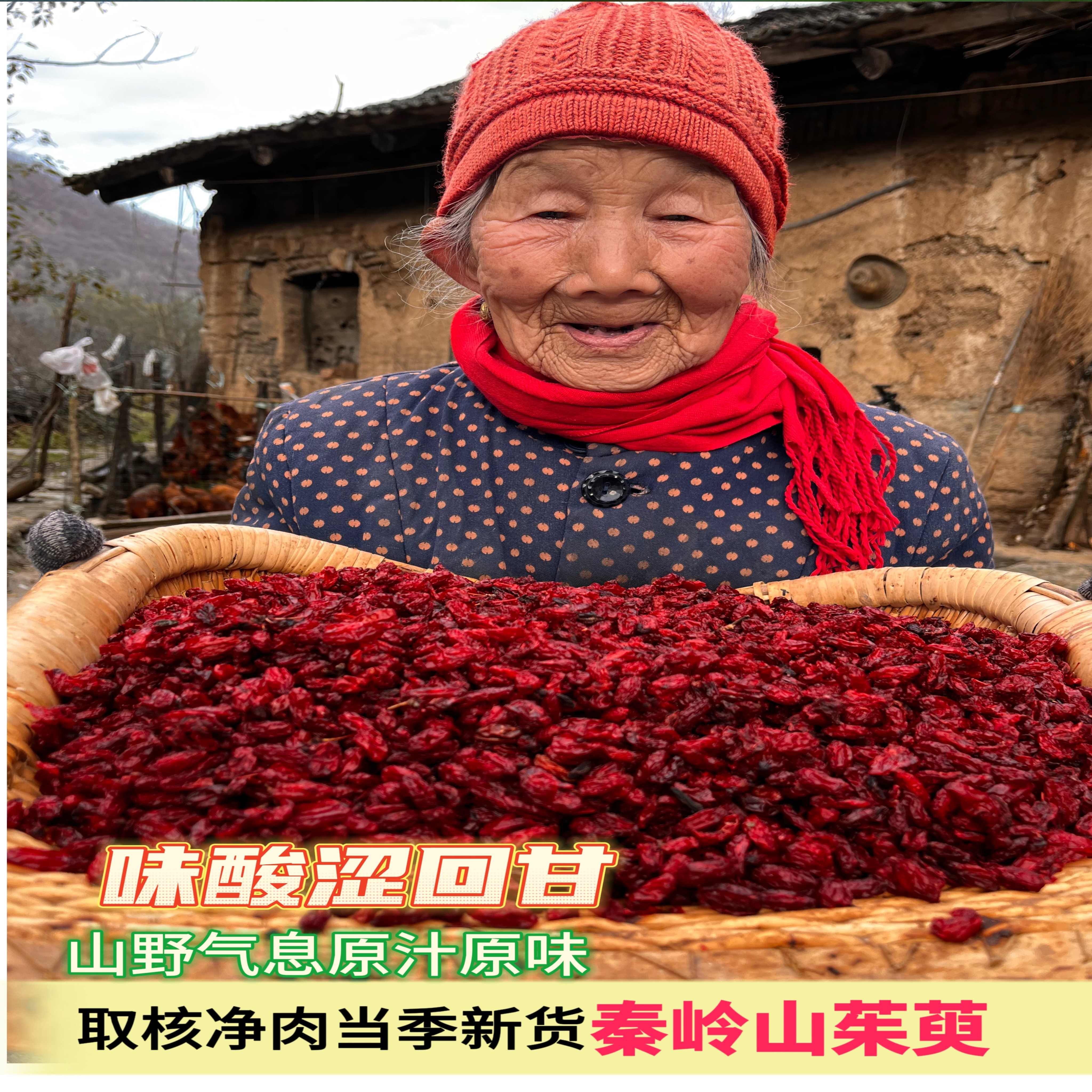 范一果秦岭太白山新货无核山茱萸肉枣皮可泡酒煮水滋补养生