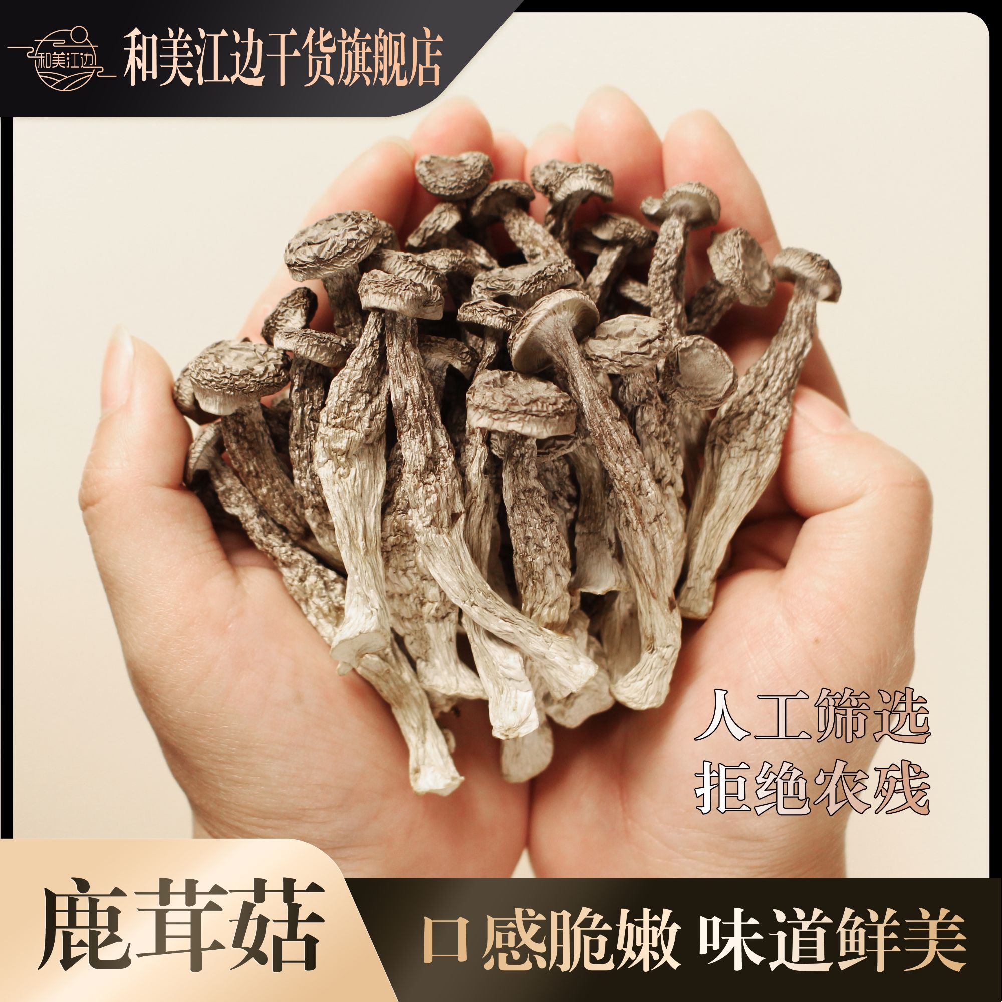 和美江边【小鹿茸菇】高山嫩仔菇新货菌菇干货营养炒菜煲汤菇类干货