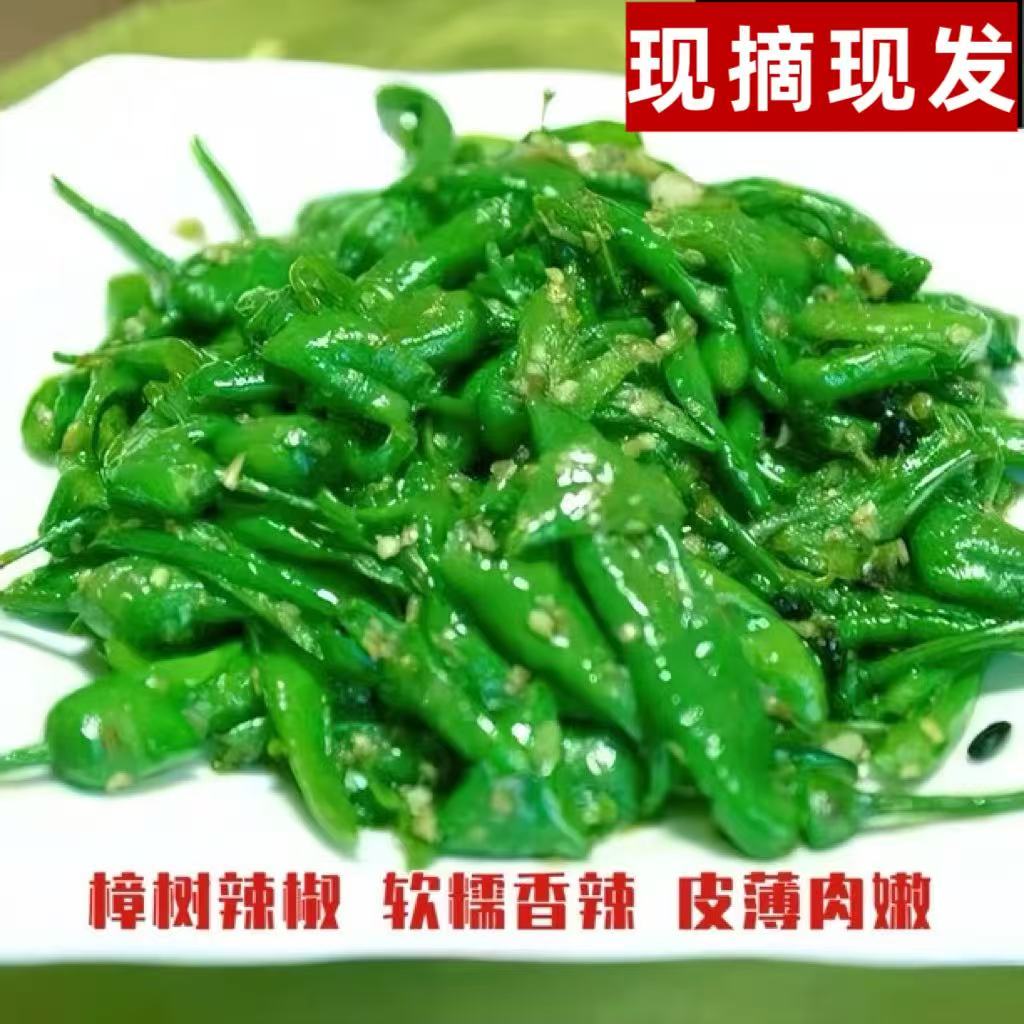【现摘现发】樟树薄皮青椒农家自种湖南品种微辣新鲜软糯辣椒虎皮椒