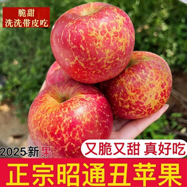 原生态现摘现发云南昭通丑苹果冰糖心新鲜水果一件5/10斤包邮脆甜
