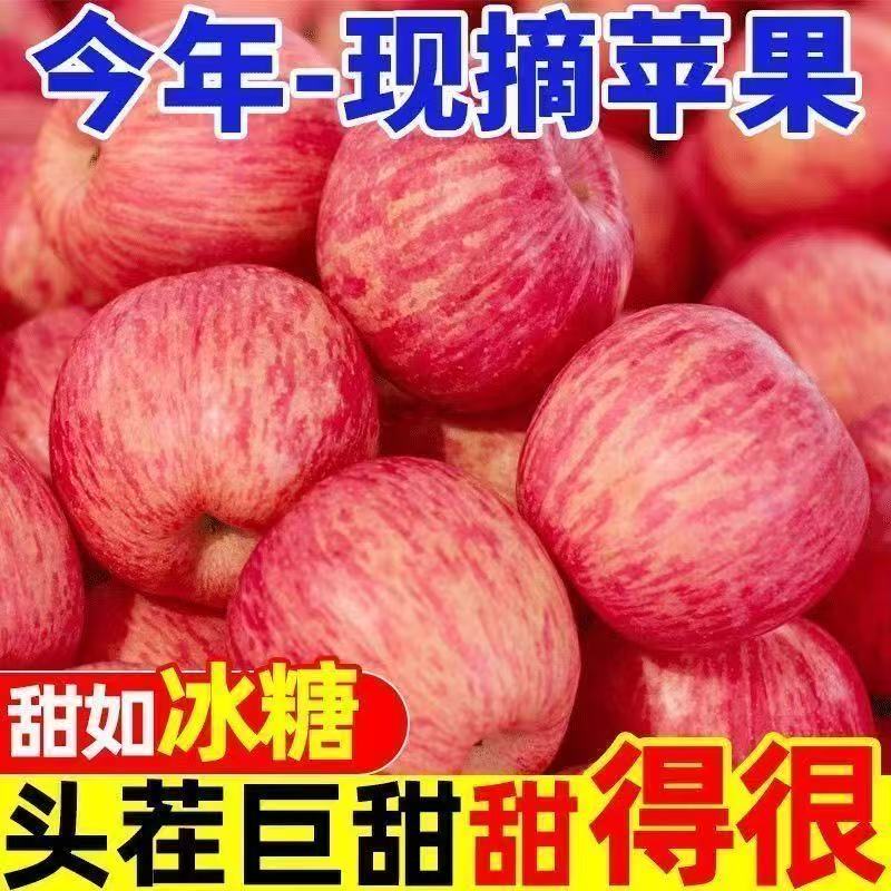 山西红富士苹果新鲜现摘脆甜多汁带冰糖心水果