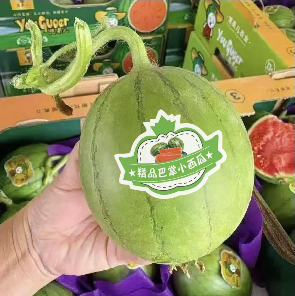 【京东包邮】2K手撕巴掌小西瓜小糖丸西瓜薄皮多汁小糖丸冰激凌