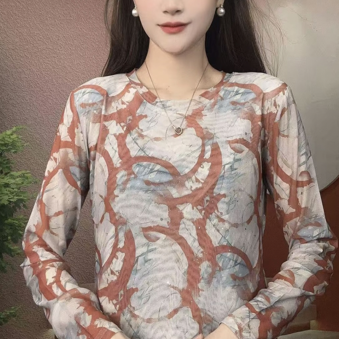 2025秋季新款长袖圆领肌肤纱时尚品瘦印花T恤上衣C2198