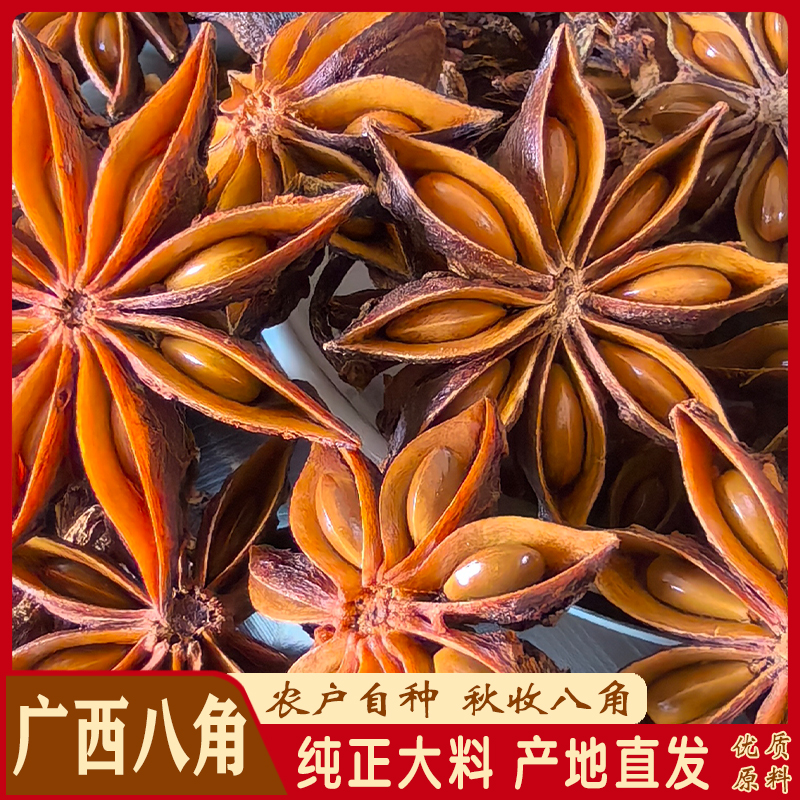【广西八角】2025年新货秋季大红八角 无硫全干八角大料 八角大茴香