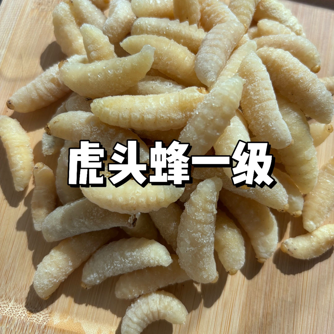 云南特产野生蜂蛹鲜新马蜂树峰葫芦蜂蛹幼蜂顺丰冷冻发货